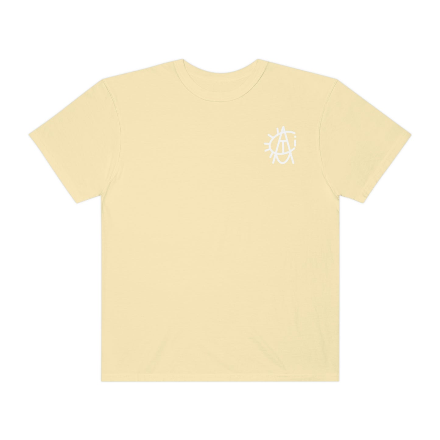 Soft Wash Turtle Tee ***5 Colors***