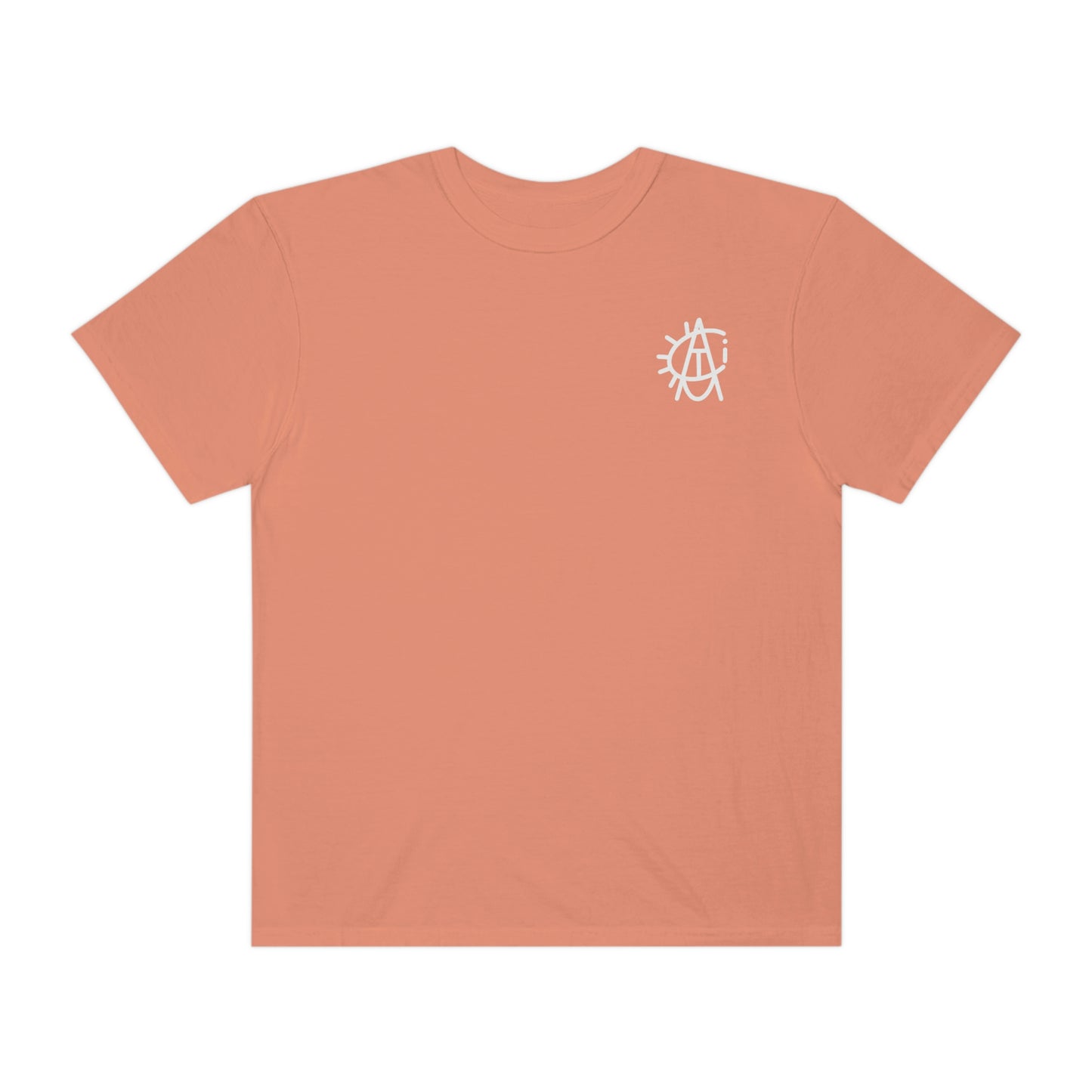 Soft Wash Turtle Tee ***6 Colors***