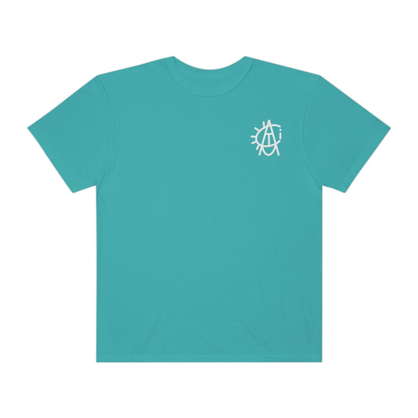 Soft Wash Turtle Tee ***5 Colors***