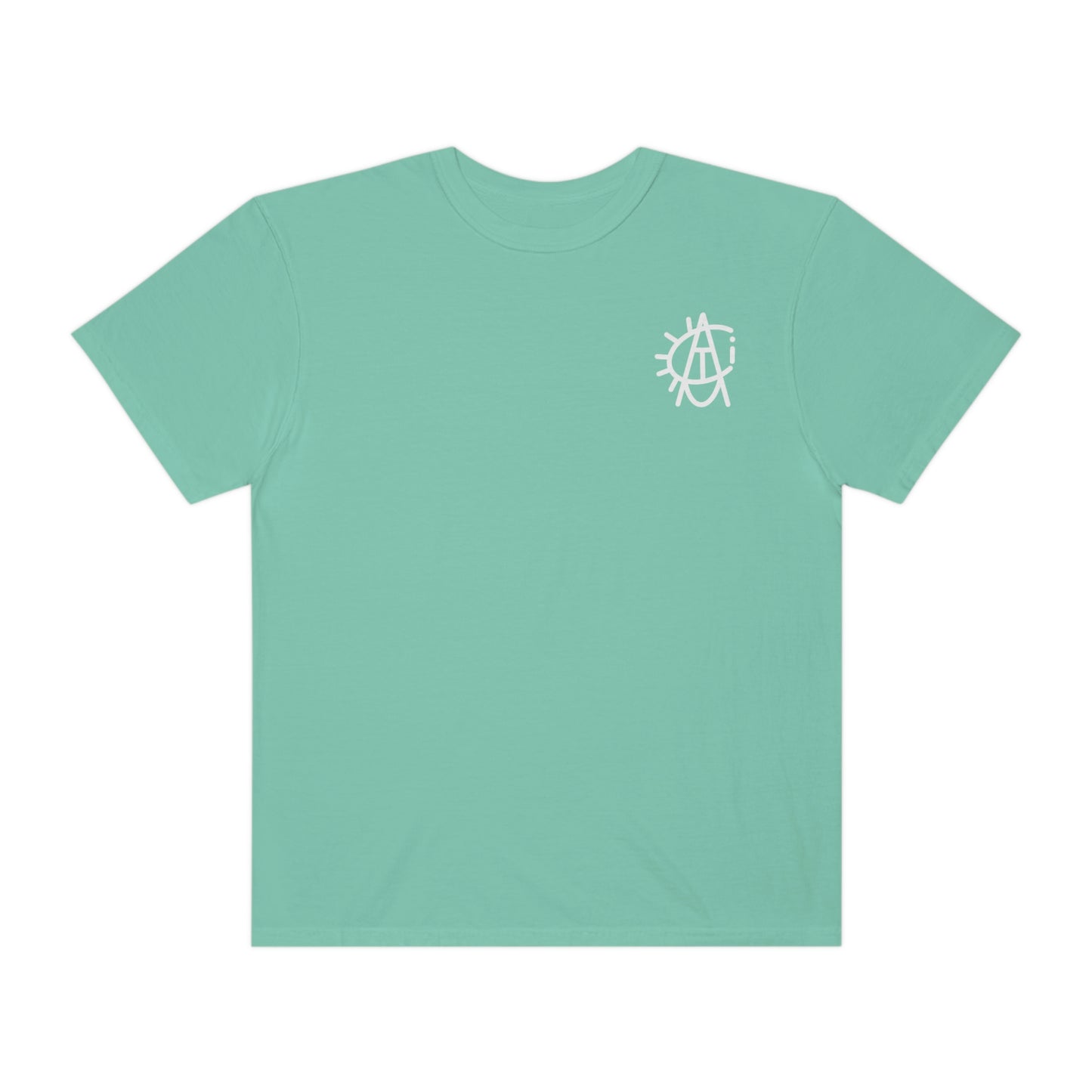 Soft Wash Turtle Tee ***5 Colors***